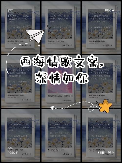 那英西海情歌歌词解析每一句都戳心