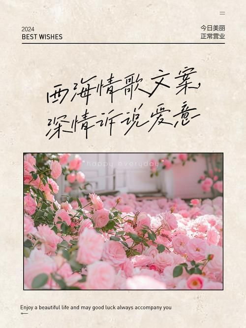 那英西海情歌歌词解析每一句都戳心