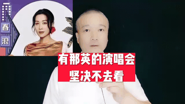 那英评价王菲演唱会 天后之间的惺惺相惜与欣赏