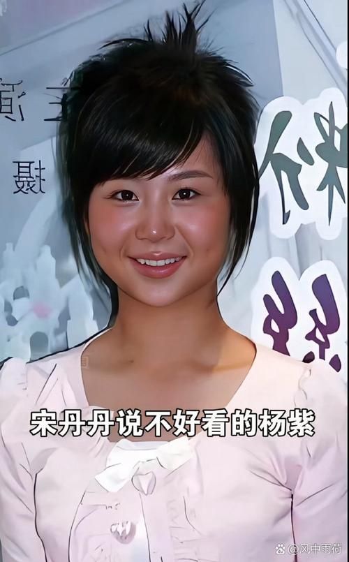 那英说杨紫综艺表现亮眼 观众直呼太可爱