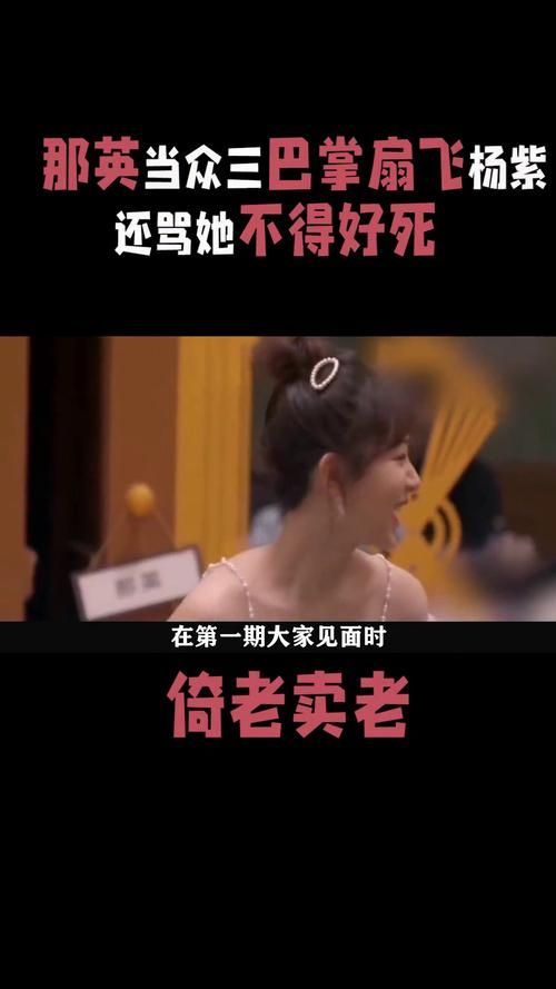 那英踢杨紫细节回顾 粉丝们吵翻了天