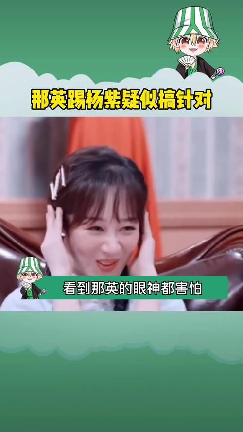 那英踢杨紫细节回顾 粉丝们吵翻了天