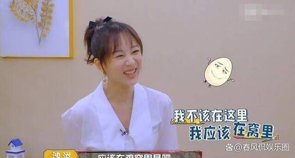 那英踢杨紫细节回顾 粉丝们吵翻了天