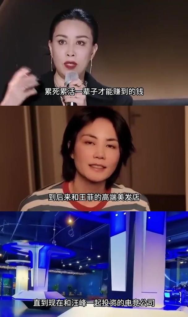 那英身价多少亿盘点天后的商业版图与收入来源