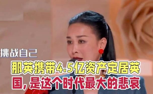 那英身价是多少亿她的资产和收入来源大公开