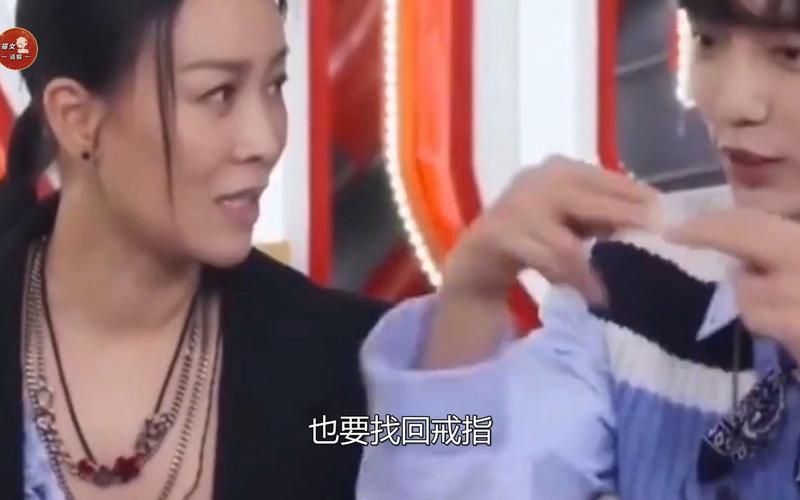 那英身价是多少亿她的资产和收入来源大公开