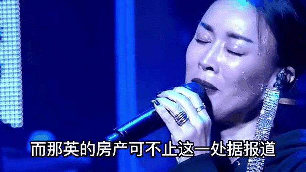 那英身价是多少亿她的资产和收入来源大公开