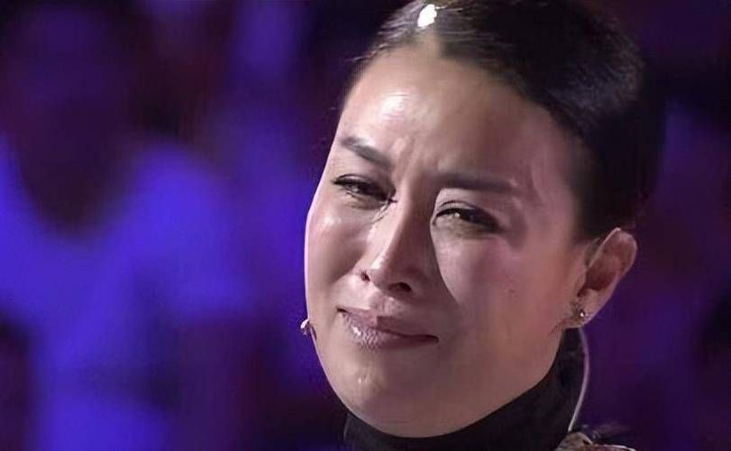 那英退出音乐圈引震动 业内人士分析行业现状