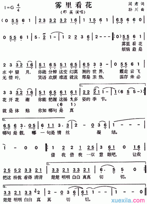 那英雾里看花歌曲歌词解析与创作背景