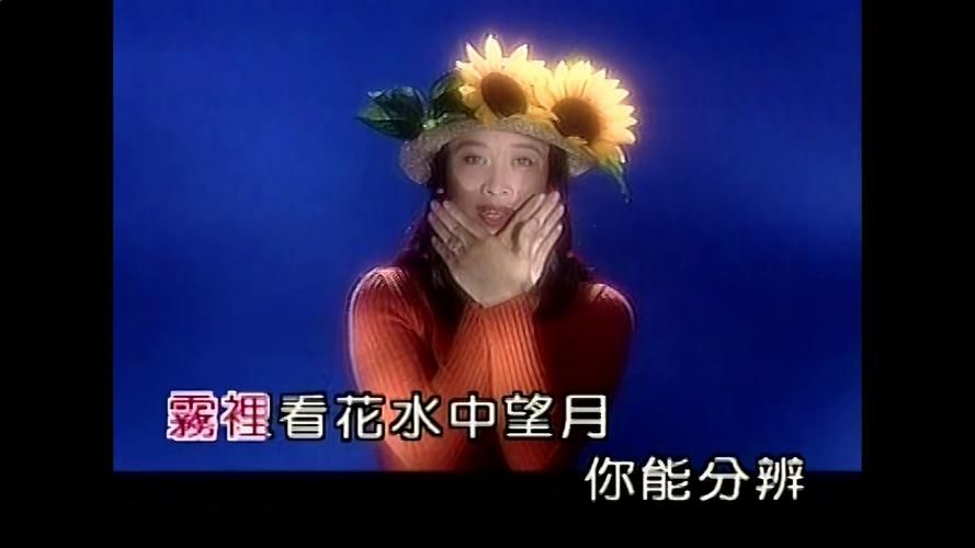 那英雾里看花歌曲歌词解析与创作背景