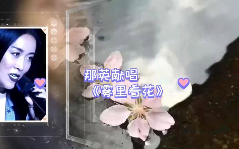 那英雾里看花视频引热议 天后嗓音依旧动人