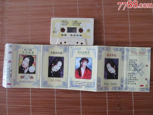 那英青青世界歌曲解析为何成为一代人回忆