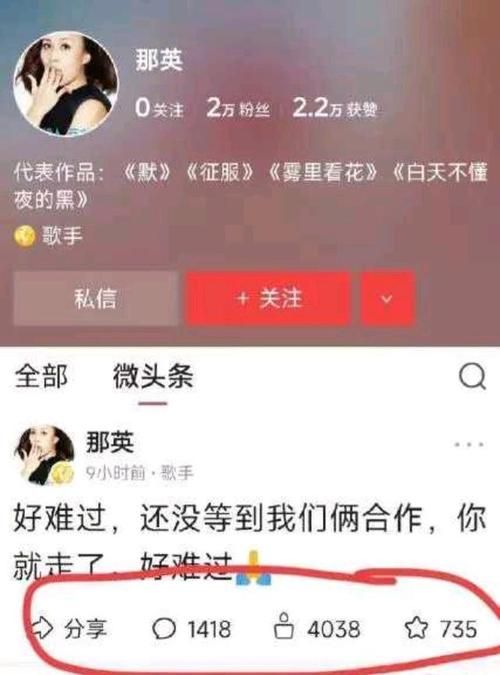 那英骂人事件最新进展 当事人道歉网友不买账