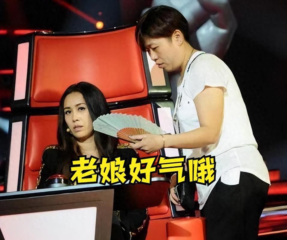 那英骂刀郎事件始末 网友热议不断