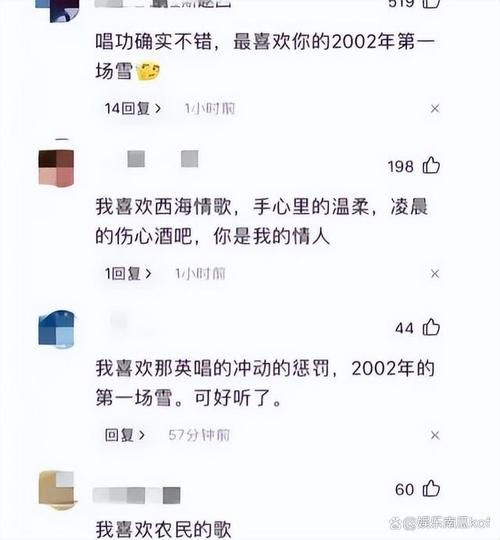 那英骂刀郎视频引争议 背后真相究竟如何