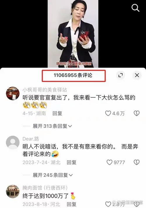 那英骂刀郎言论被扒 网友评价两极分化