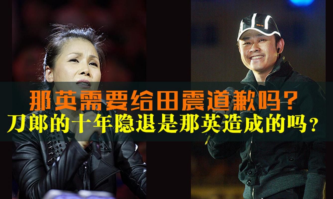 那英黑点合集从刀郎到田震她的争议史