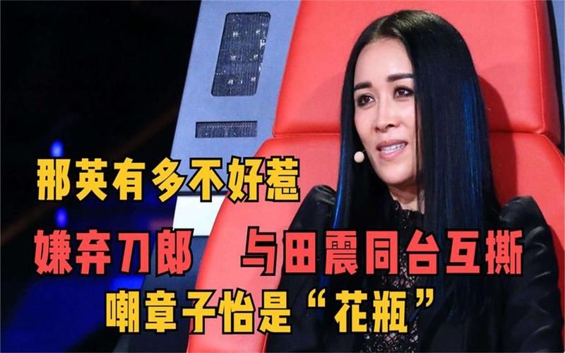 那英黑点合集从刀郎到田震她的争议史