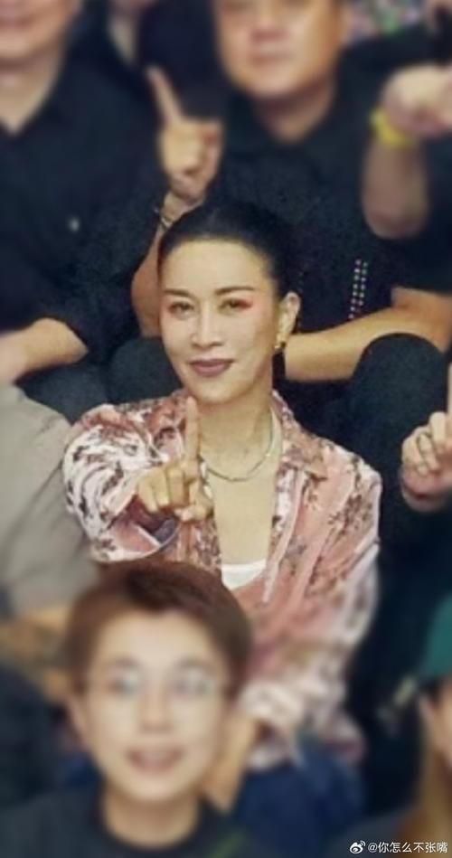 那英黑粉为什么这么多原来是因为这些事