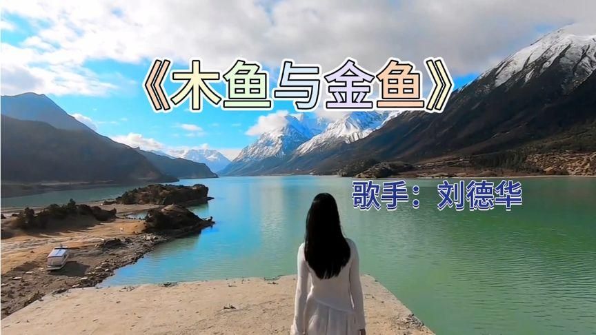 重温刘德华木鱼和金鱼感受老歌的独特魅力