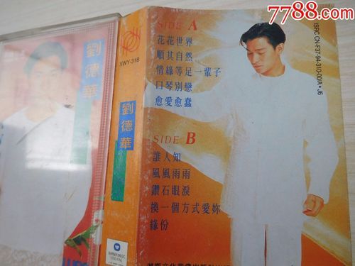 重温刘德华真永远专辑 感受天王不朽的音乐魅力