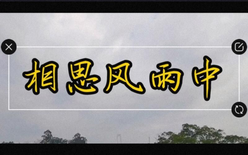重温张学友相思风雨中感受经典粤语歌的魅力
