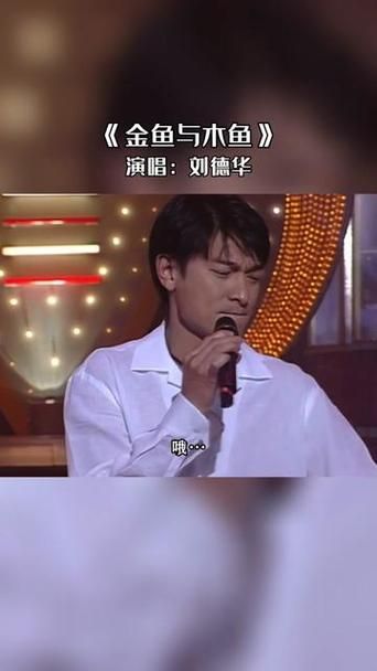 金鱼和木鱼刘德华这首歌到底想表达什么