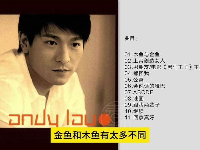 金鱼和木鱼刘德华这首歌到底想表达什么
