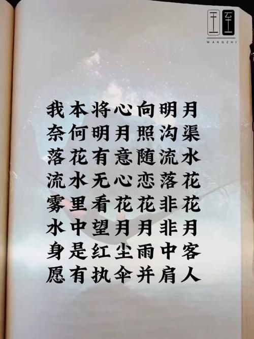 雾里看花那英歌词含义 听懂这首歌的人不简单