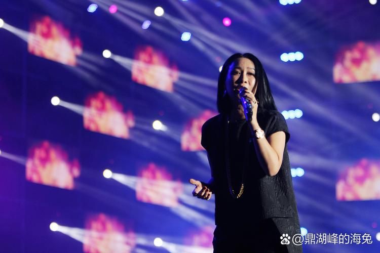 韩红那英实力唱将谁是你心中的天后