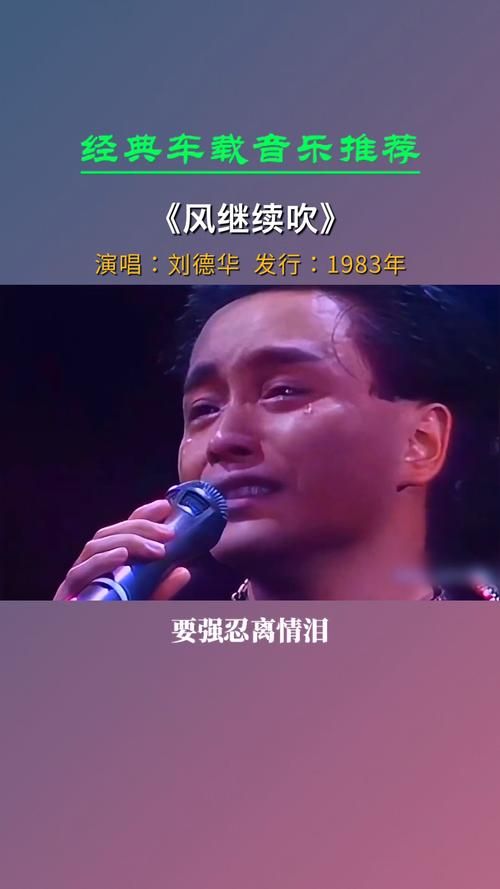 风继续吹刘德华演唱会视频重温金曲现场