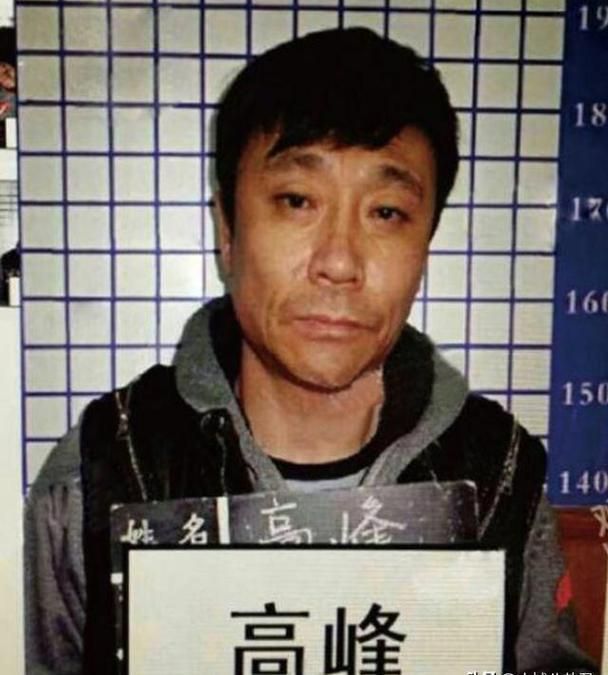高峰曾是那英前夫 如今生活现状令人唏嘘