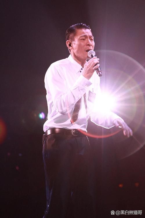 高清刘德华演唱会视频免费观看：不容错过的视听盛宴