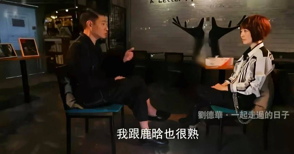 鹿晗和刘德华谁帅 明星颜值对比引发争议