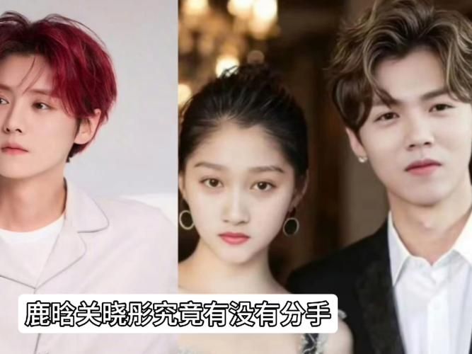鹿晗和刘德华谁帅 明星颜值对比引发争议