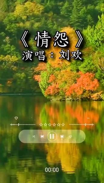 .刘欢情怨