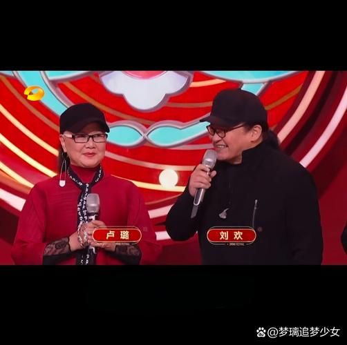 一个妹妹叫刘欢的电视剧