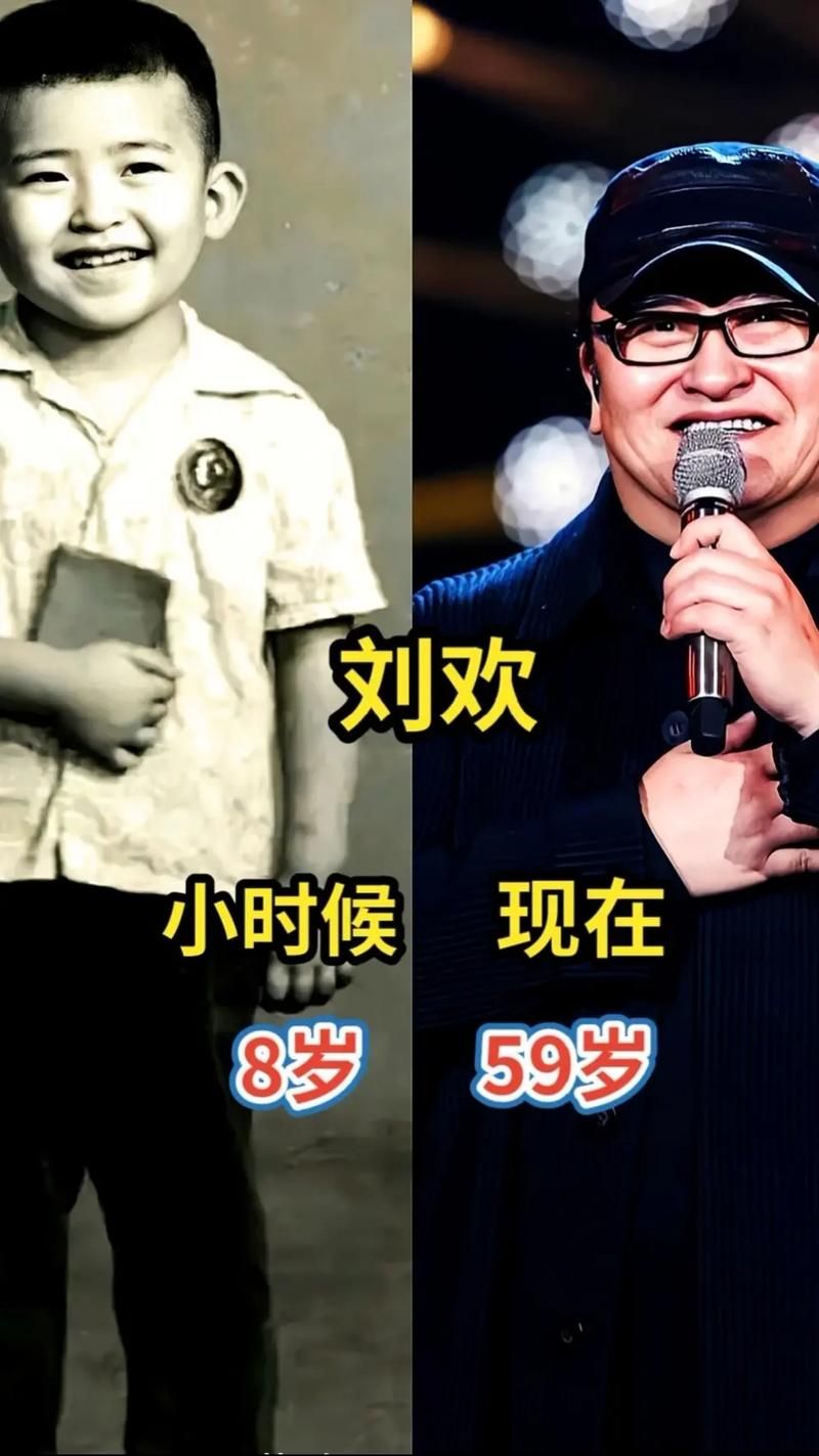 一首刘欢的童年