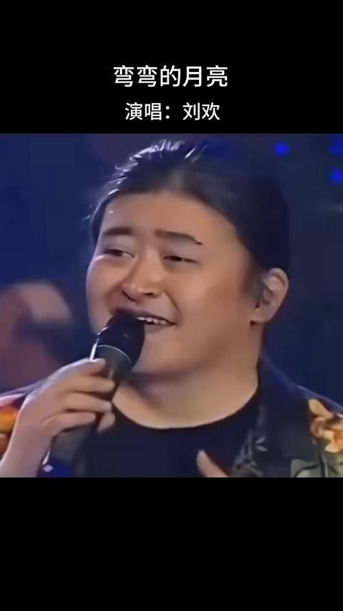 东北胖姐唱的刘欢歌曲