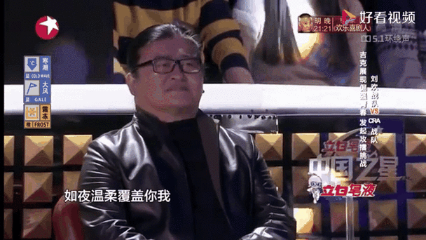 中国之星刘欢战队冠军