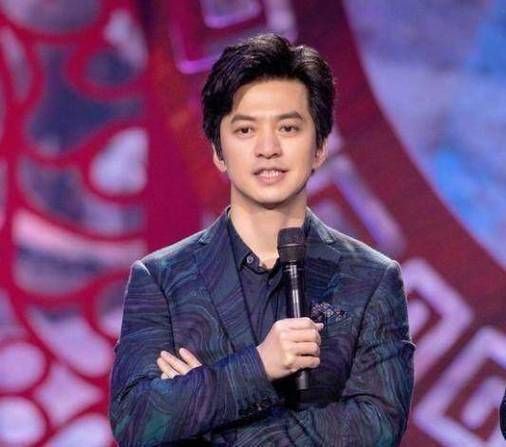 中国好声音刘欢和李健