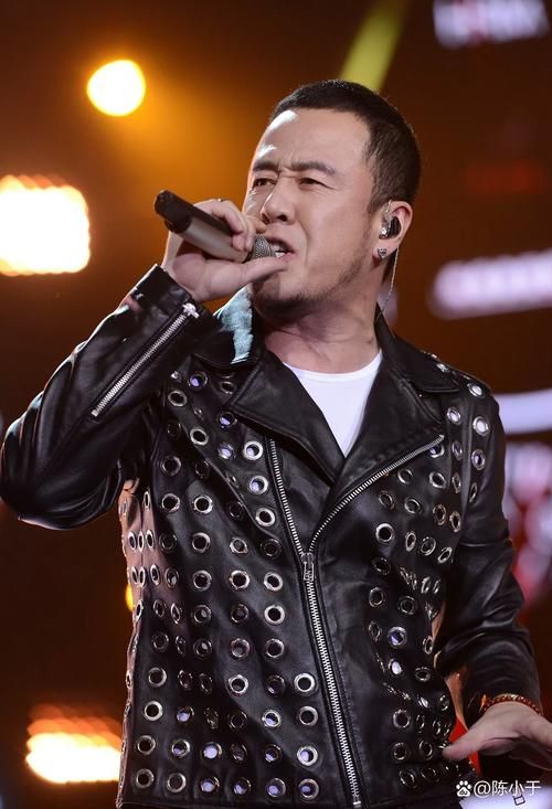 中国好声音刘欢杨坤
