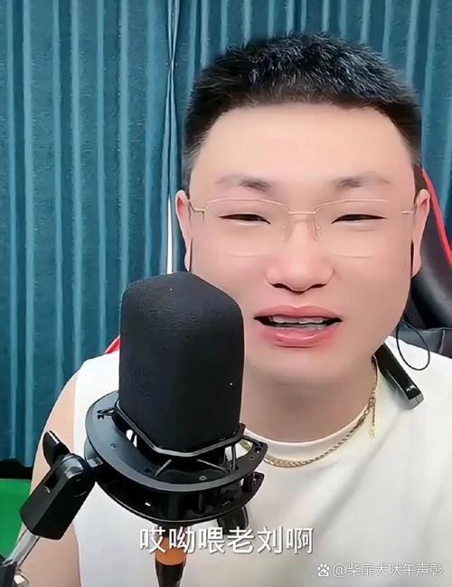 中国好声音奇葩男选刘欢