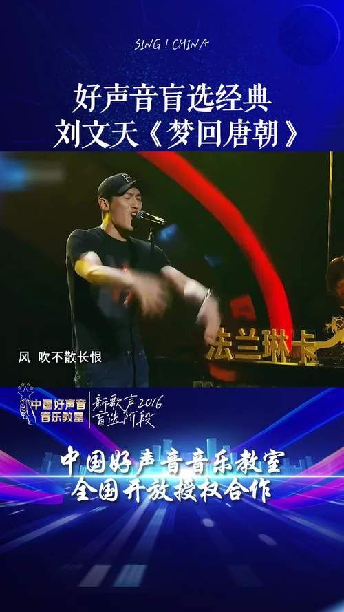 中国好声音盲选歌曲刘欢