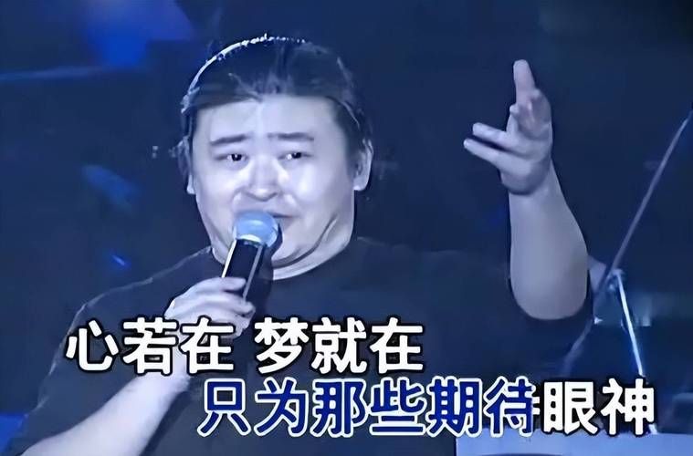 中国新歌声点评刘欢