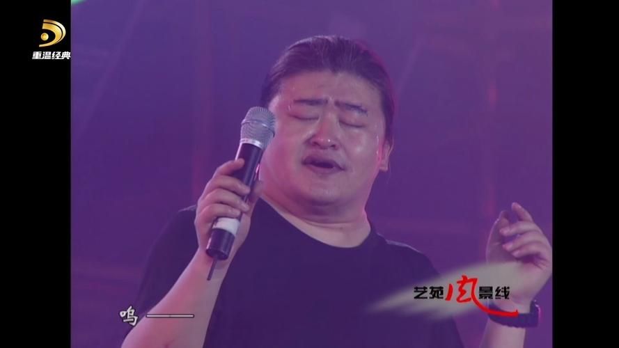 中秋晚会刘欢情怨