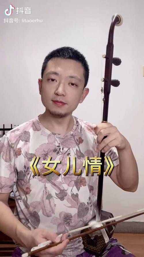 二胡独奏女儿情视频刘欢
