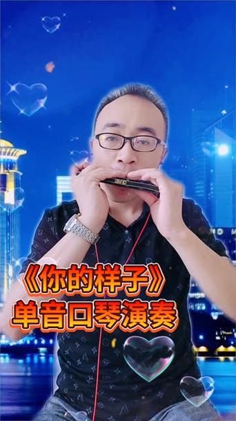 你的样子原唱刘欢视频