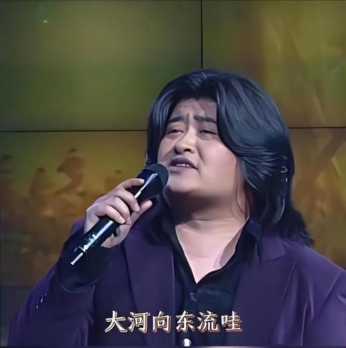 倪萍刘欢歌曲