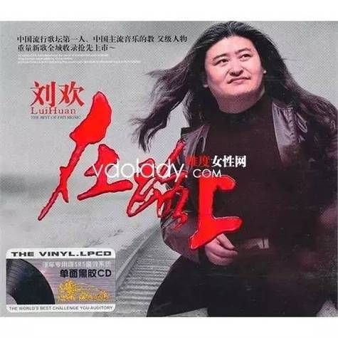 冬雨 刘欢